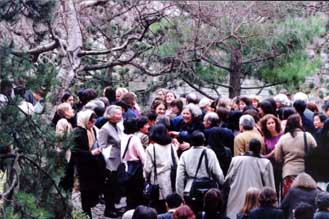 Garden of Unesco, 27 Kb